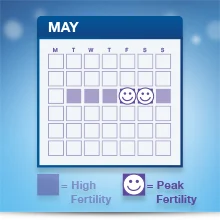 Identifies typically up to six fertile days