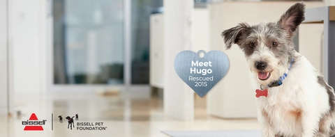 Every Purchase Saves Pets™