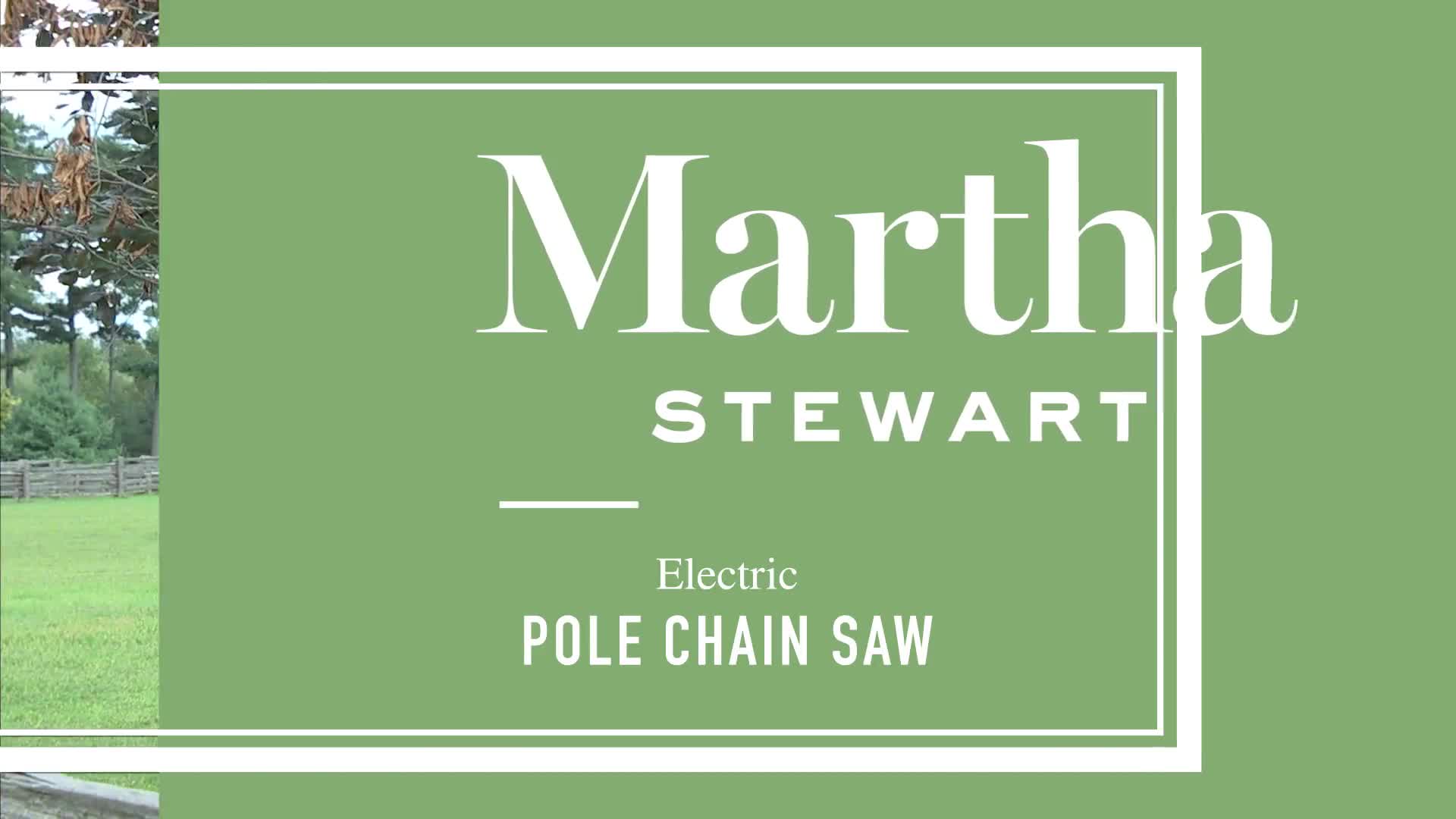 Electric Pole Saw 