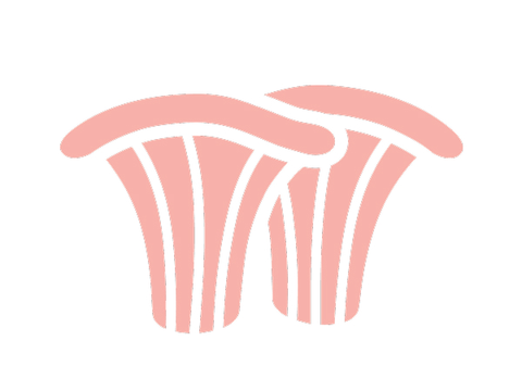 Pink icon of oyster mushrooms.