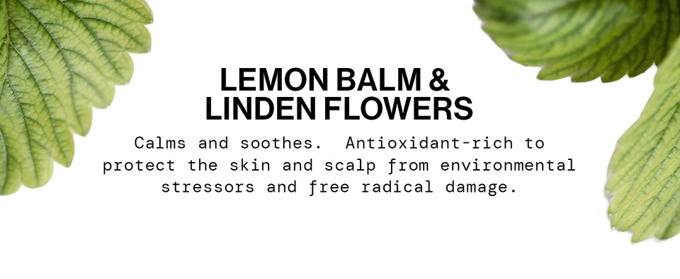 silicone sls parabens phthalates soy protein stimulates cares beloved ingredient care hydration willow bark lemon balm tilia cordata flower