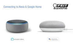 View Connecting to Alexa or Google Home PDF