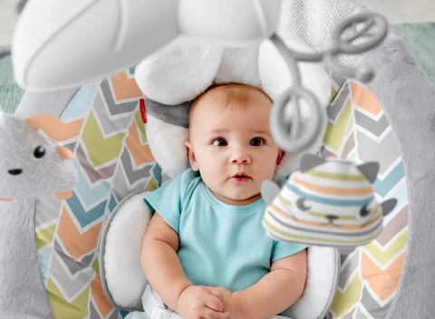 Fisher Price Sweet Snugapuppy Dreams Deluxe Bouncer Babies R Us Canada