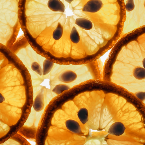 Yuzu Yuzu