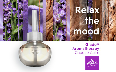 Glade Aromatherapy PlugIns Scented Oil Refills, Air Freshener, Fragrance  Infused with Essential Oils, Choose Calm Scent with Notes of Lavender &  Sandalwood, 2 x 0.67 oz (19.8 ml) 