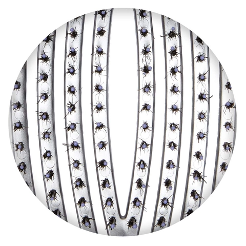 Special blend of ionic &amp; 100% boar bristles