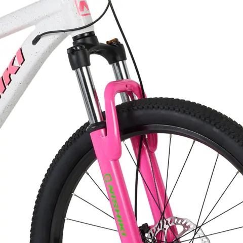 Nishiki Youth 24” Limited Edition Colorado Mountain Bike | Dick's