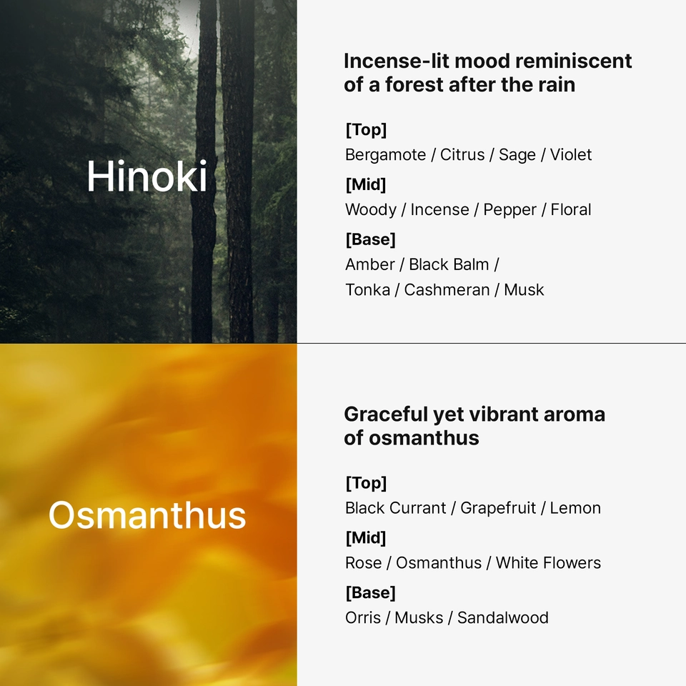 Perfumed Hair Shampoo (Osmanthus)