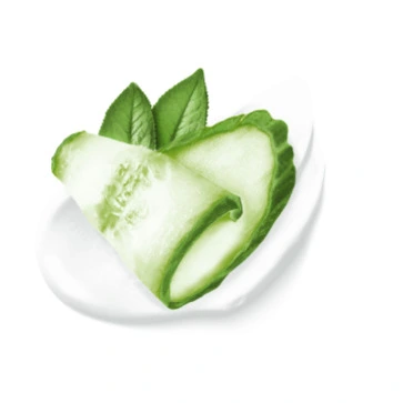 Image of a slice of cucumber curled on top of a dollop of Dove moisturizing cream.