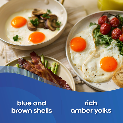 Happy Egg Eggs Heritage Breed Blue And Brown Large - 12 Count