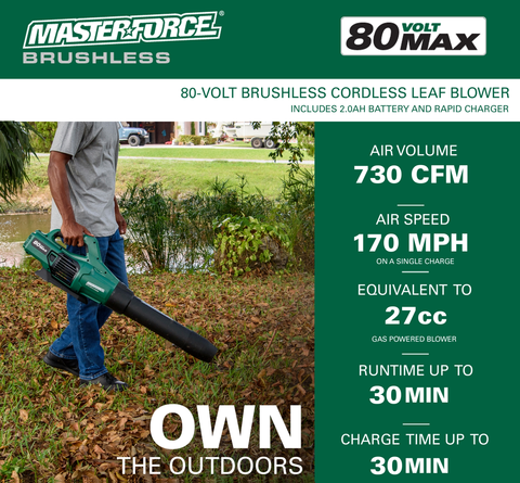 Masterforce leaf blower sale