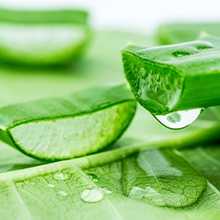 Soothing Aloe