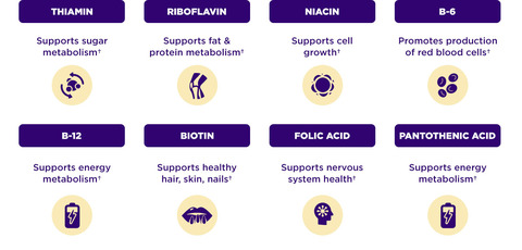 Thiamin – Supports sugar metabolism, Ribolfavin – Supports fat &amp; protein metabolism, Niacin – Supports cell growth, B-6 – Promotes production of red blood cells, B-12 – Supports energy metabolism, Biotin – Supports healthy hair, skin, nails. Folic Acid – Supports nervous system health. Pantothenic Acid – Supports energy metabolism