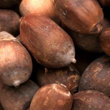 Babassu Kernel Oil