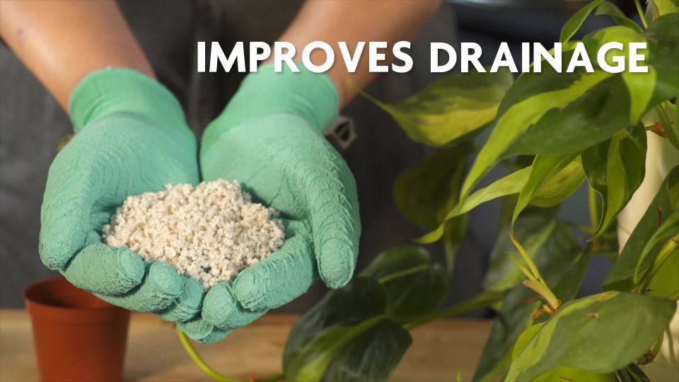 thumbnail video image 2 of Miracle-Gro Perlite, 8 qt., Improves Drainage and Aeration in Potting Mixes, 2 of 11