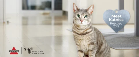 Every Purchase Saves Pets™