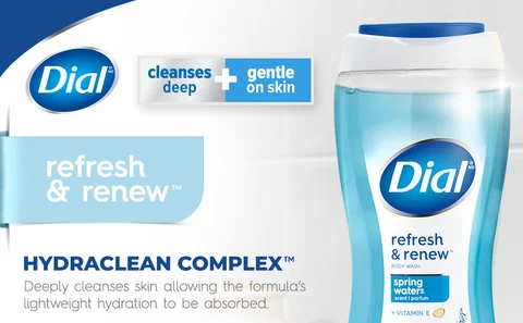 Dial Body Wash, Spring Water, 16 fl oz Meijer