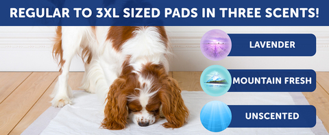 Hartz® Home Protection™ 3XL Odor Eliminating Dog Pads - 30 Count