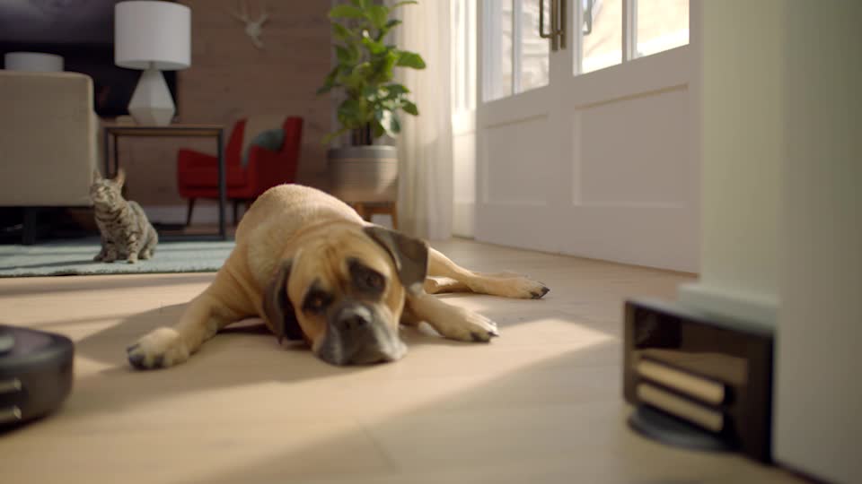 Neato Robotics Botvac D7 Wi-Fi 