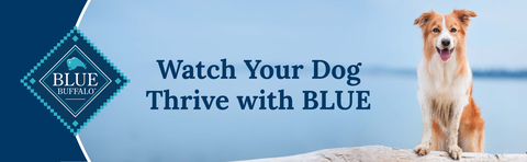 Blue Buffalo Life Protection Formula Dog Food