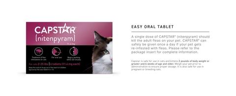 Capstar 2 25 Lb Cat Flea Treatment 6 Count