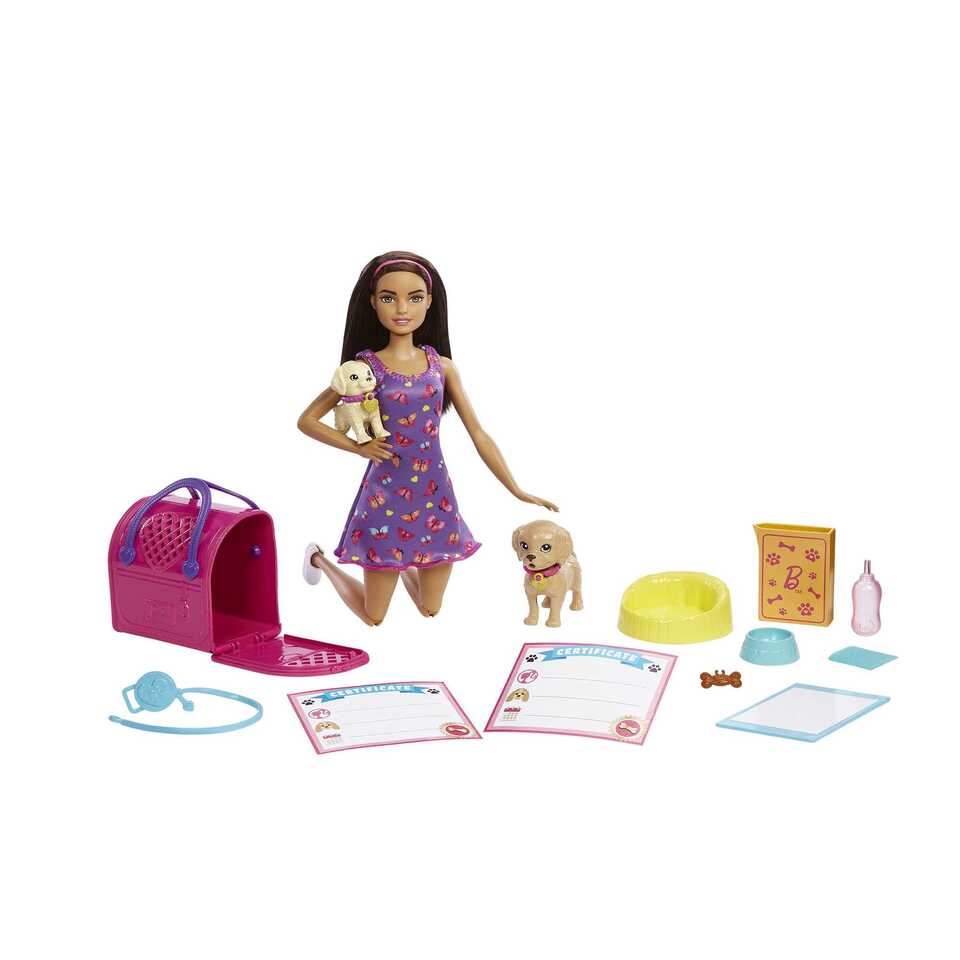 thumbnail video image 2 of Barbie Doll and Accessories Pup Adoption Playset with Doll, 2 Puppies and Color-Change, 2 of 7