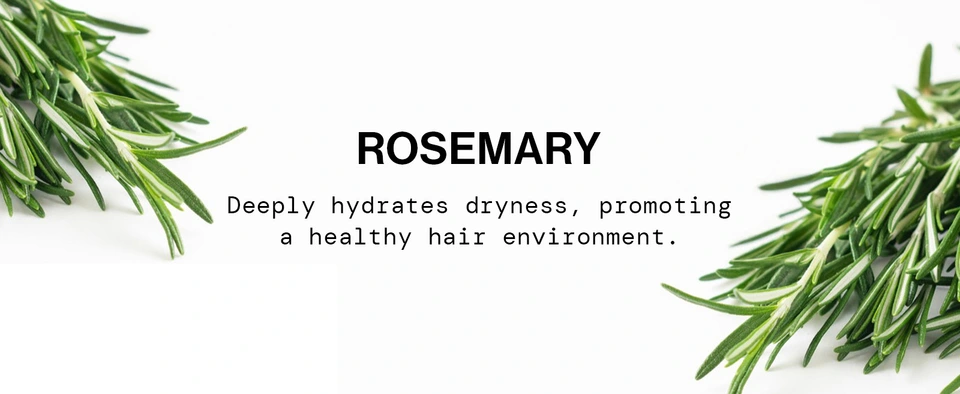 cleanest non-stripping deeply cleanses removing oils build-hair amazing natural scent sweet gentle nourishing revive formulated herbal