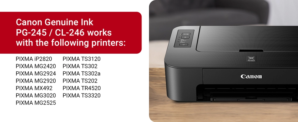 Lotto Cartucce Inchiostro PG-245 CL-246 Per Canon 245 246 Confezione - Foto 9