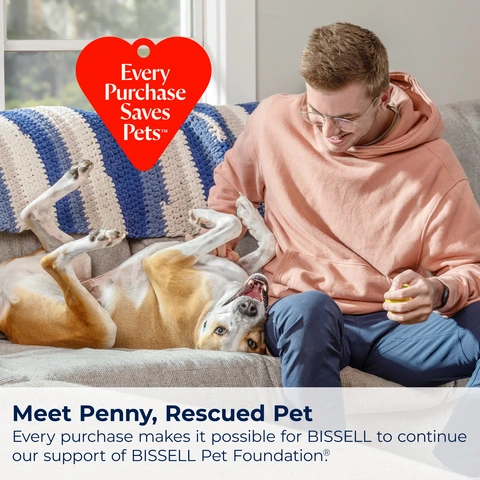 Meet Penny, Rescued Pet