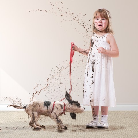  Resolve Easy Clean Pro Carpet Cleaner Gadget & Foam Spray  Refill, 22 Fl Oz : Health & Household