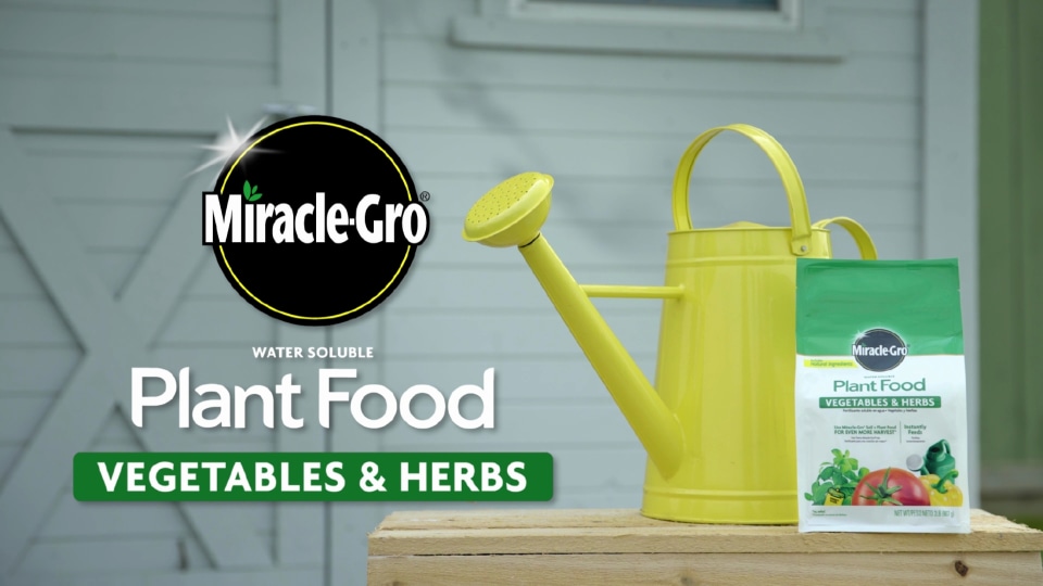 Miracle Gro Water Soluble Plant Food Vegetables And Herbs 2 Lb