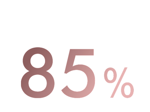 Text reading 85%.