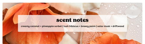 CW Scent Notes