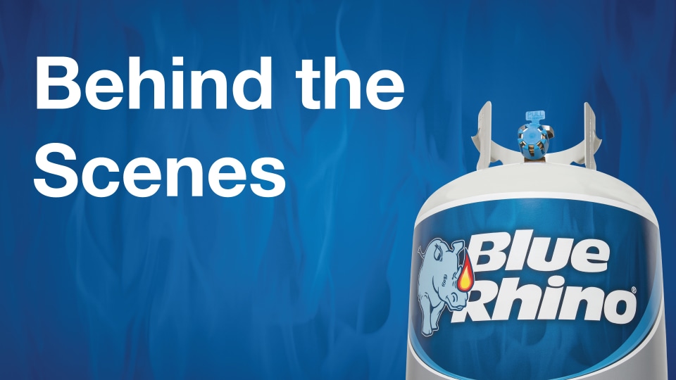 Blue Rhino Propane Exchange - Walmart.com