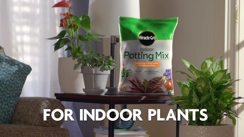 thumbnail video image 2 of Miracle-Gro Indoor Potting Mix, Blended for a Variety of Houseplants, 6 qt., 2-Pack, 2 of 12