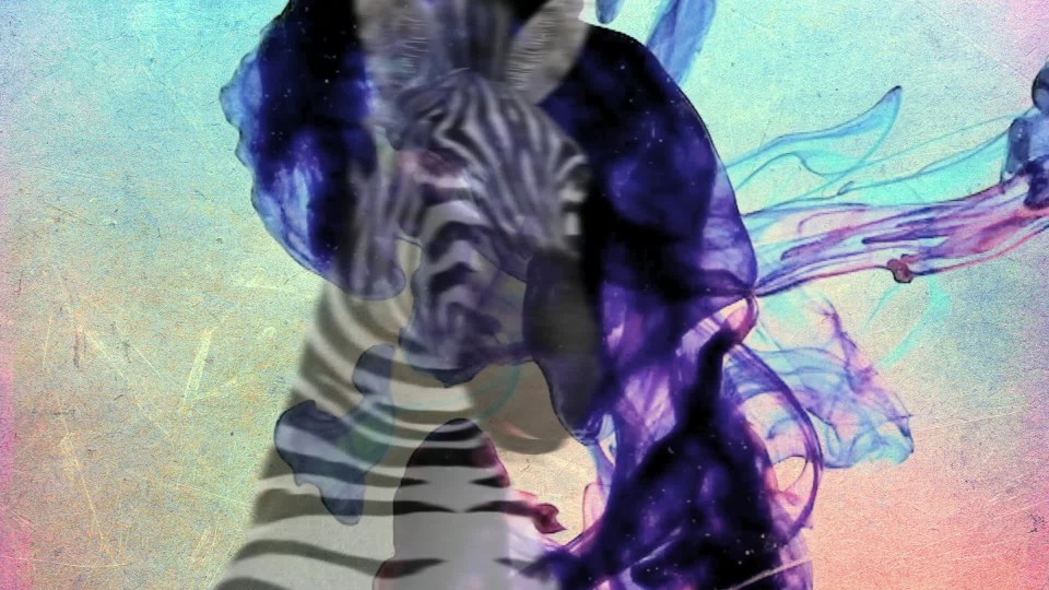 thumbnail video image 6 of Zebra G-301 Stainless Steel Retractable Gel Pen, 0.7mm, Black Ink, 6 of 7