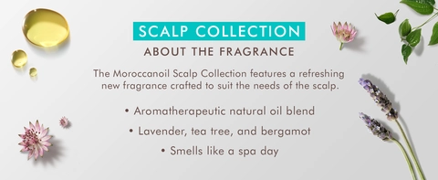 SCALP COLLECTION ABOUT THE FRAGRANCE The Moroccanoil Scalp Collection features a refreshing new fragrance crafted to suit the needs of the scalp.  • Aromatherapeutic natural oil blend • Lavender, tea tree, and bergamot • Smells like a spa day
