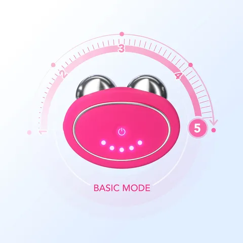 BEAR  basic mode image