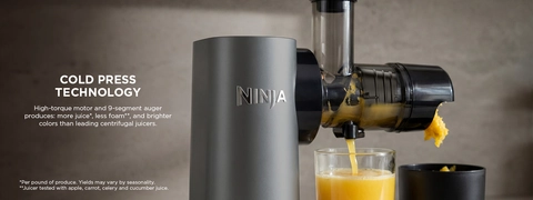 Ninja 2 Speed Cold Press Juicer in Gray