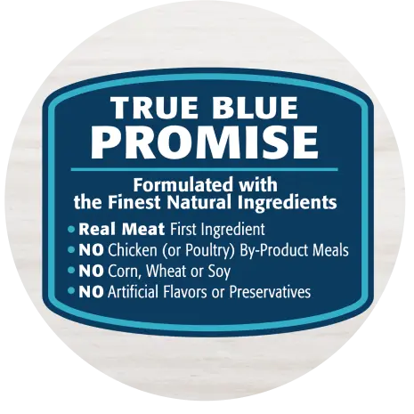 Blue Buffalo Freedom Grain-Free Chicken & Potatoes Senior Dog Food, 24 lbs.  | Petco