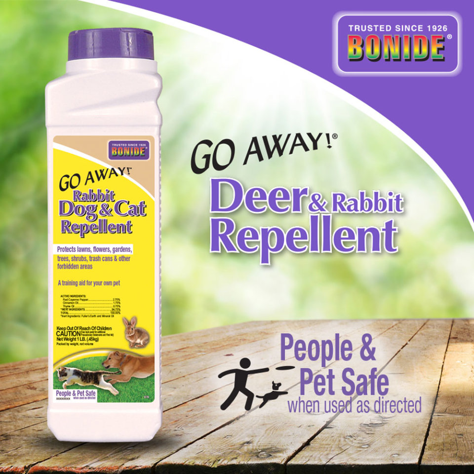 How Do You Make Dog Repellent