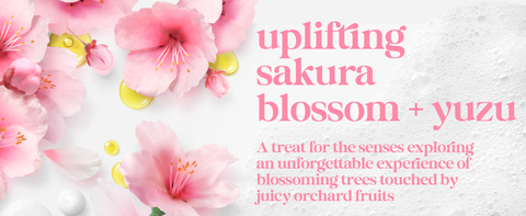 Soft pink sakura blossoms &amp; golden yuzu droplets rest on a textured white background with airy foam.