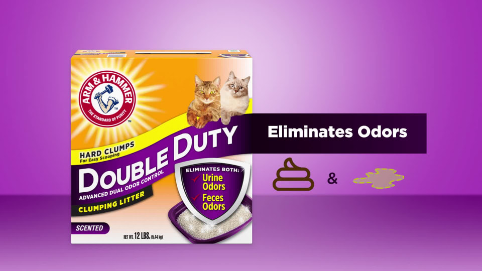 Arm And Hammer Double Duty Cat Litter Advanced Odor Control Clumping Cat Litter Scented 20 Lbs