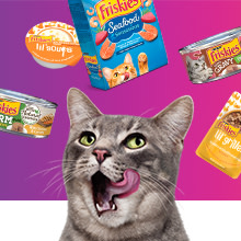 friskies savory shreds