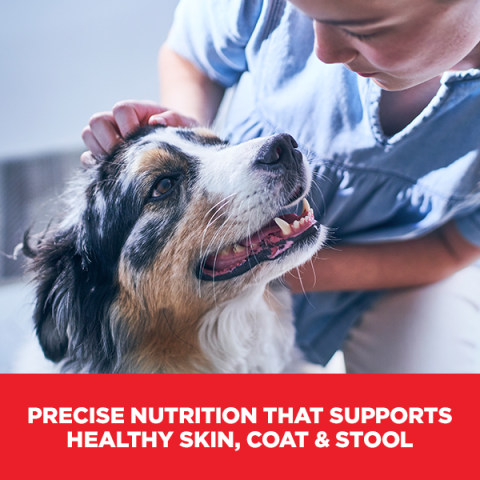 healthy mobility small bites