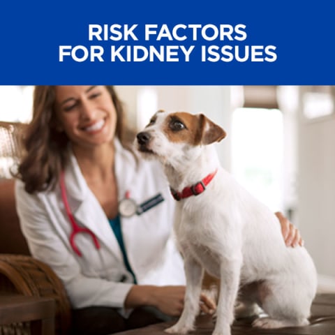 hills renal mobility