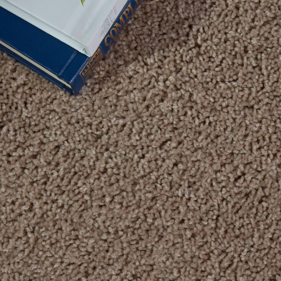 Mohawk Gratitude Cobble Path Textured Carpet Indoor In The Carpet Department At Lowes Com