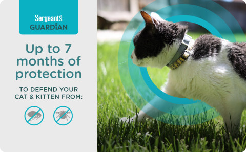 sergeants flea collar for cats