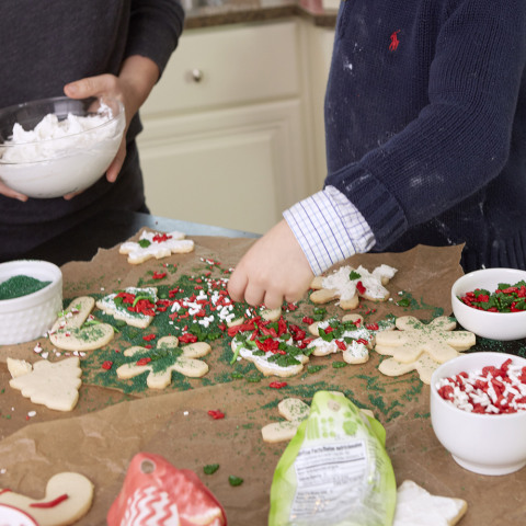 New Wilton Christmas Cookie Sheet Baking Pan Shapes Molds Holiday Baking