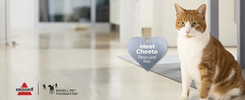 Every Purchase Saves Pets™